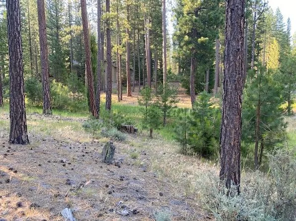 235 Black Bear Trl, Clio, CA 96106