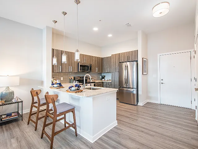 Elegant Kitchen