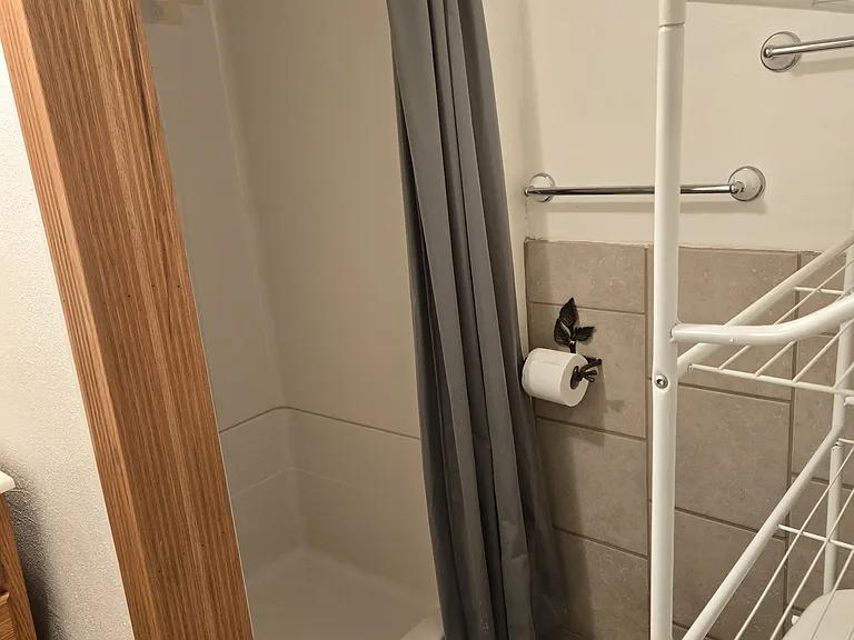 tiled bath with single shower & kholar toilet