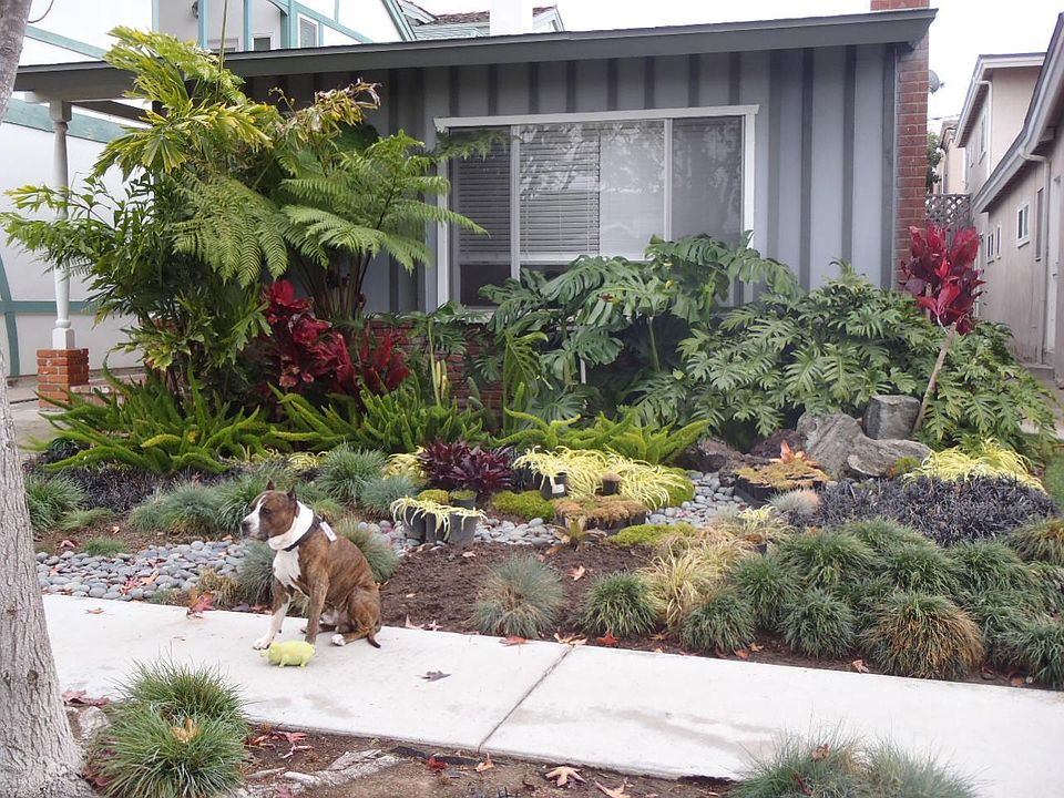 1st image of 414 Dahlia Ave