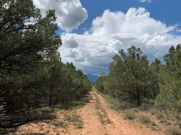 Tbd Ponderosa Dr, Ridgway, CO 81432