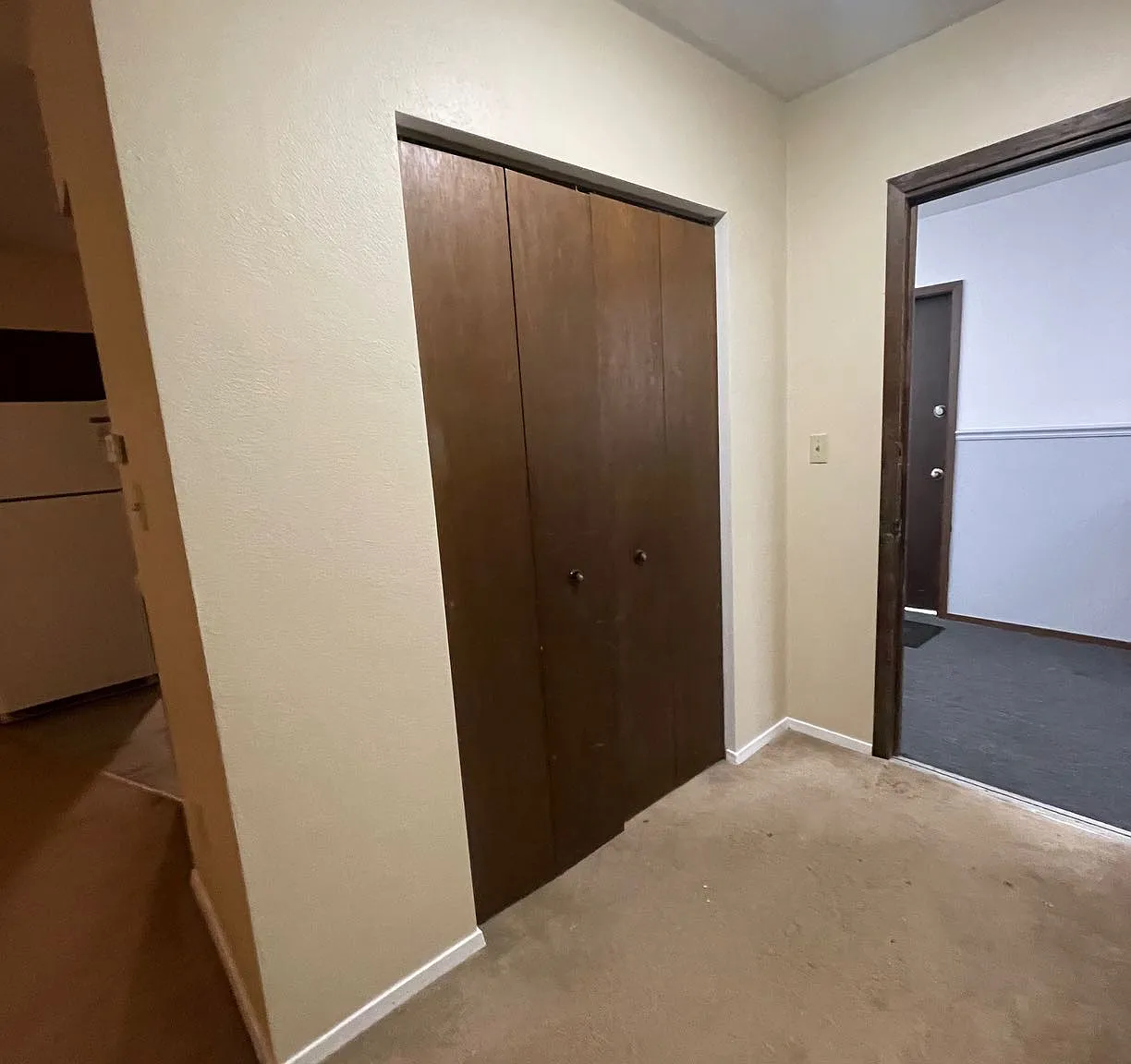 1 bed, 800 sqft, $1,150 — Photo 1