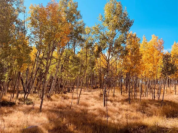 178 Summit Dr, Lake George, CO 80827