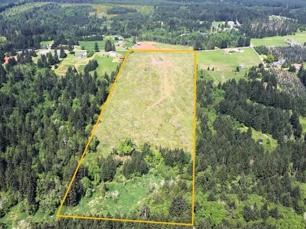 0 Brown Road E, Adna, WA 98532