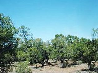 32579 W Conejo Rd, Seligman, AZ 86337