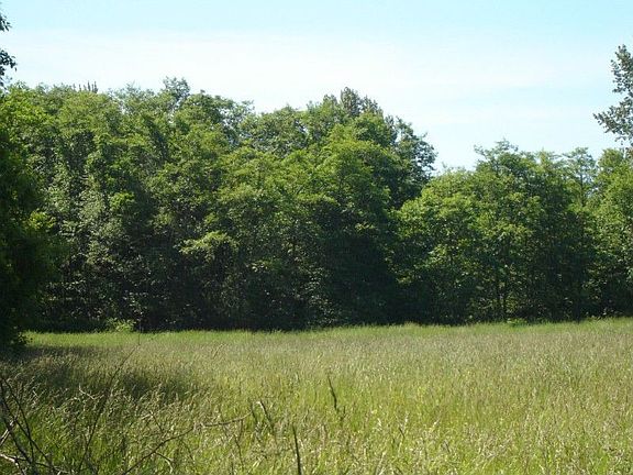 Open Grass Field