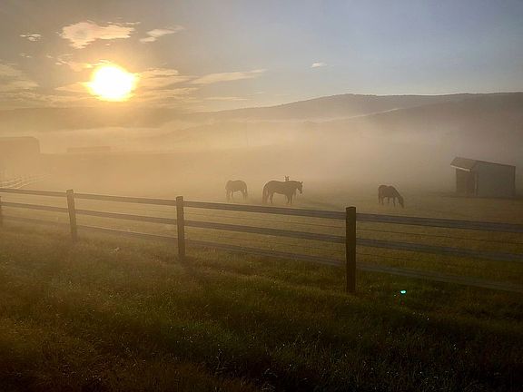 Foggy Sunset