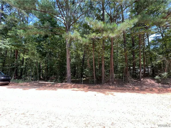 LOT 23 Ann Marie Dr, Mc Calla, AL 35111