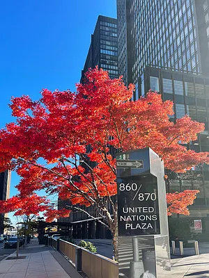 Sold by Brown Harris Stevens | media 47