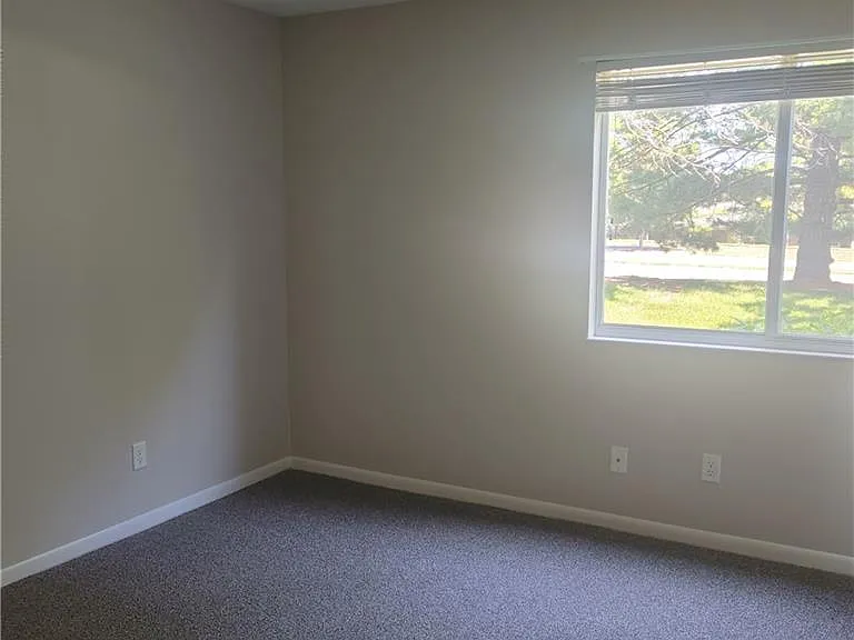 6620 Green Branch Dr #4 — Photo 24