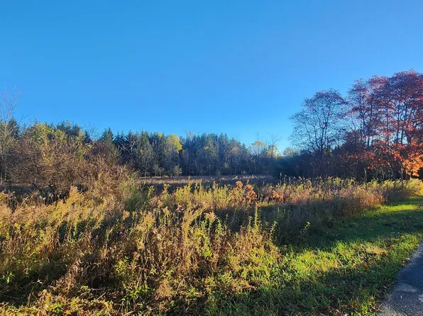 Vl E Peck Rd, Greenville, MI 48838
