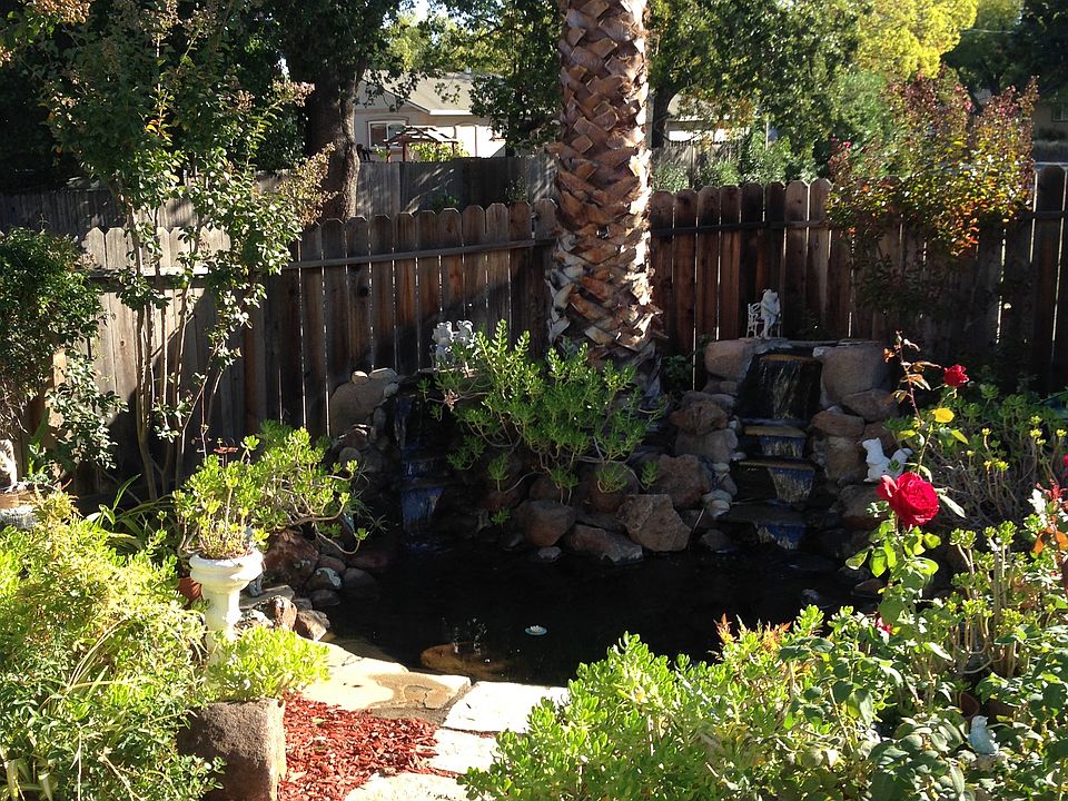 Pond and Waterfall