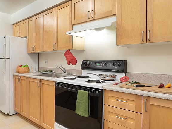 Modern Kitchen