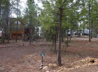 3761 S Mule Skinner Loop, Show Low, AZ 85901