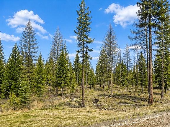 3rd image of 237 Haskill Ranch Rd Lot 38