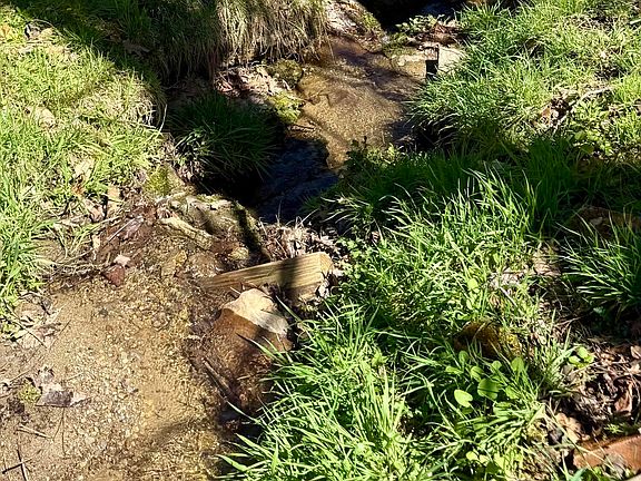 5th image of 111 Doty Rd