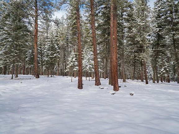 4th image of Nhn Mustang Ln