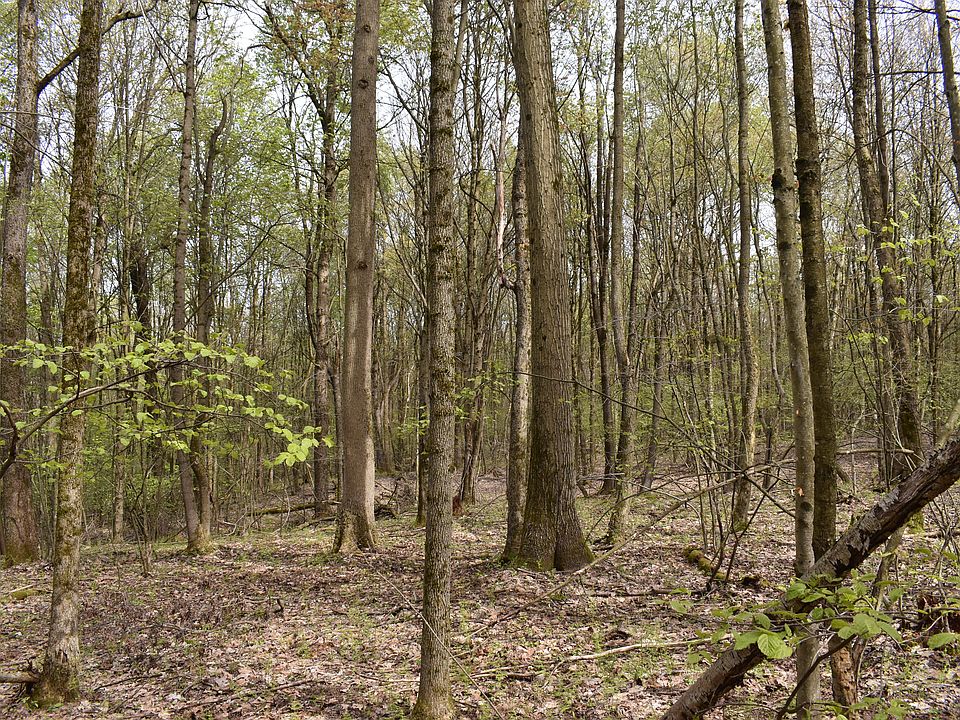 1st image of Hunt Rd