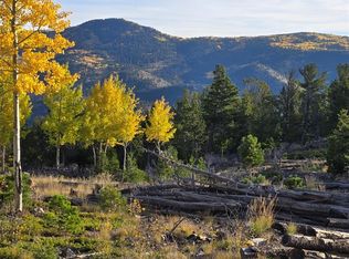 0 Frank #C, Idaho Springs, CO 80452