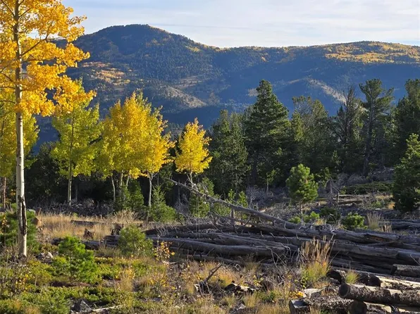 000 Frank C, Idaho Springs, CO 80452