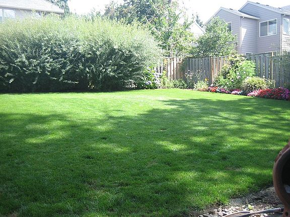 Large back yard for play & entertaining 