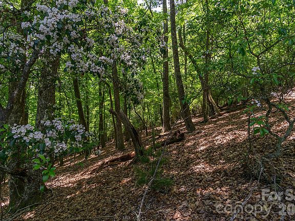 3rd image of LOT-53R Mills River Way