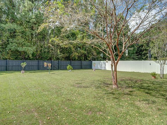 Backyard 1