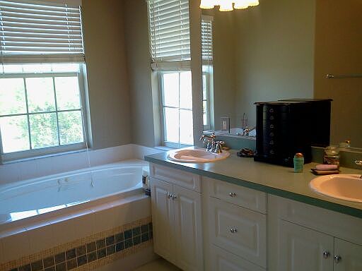 master bath spa tub