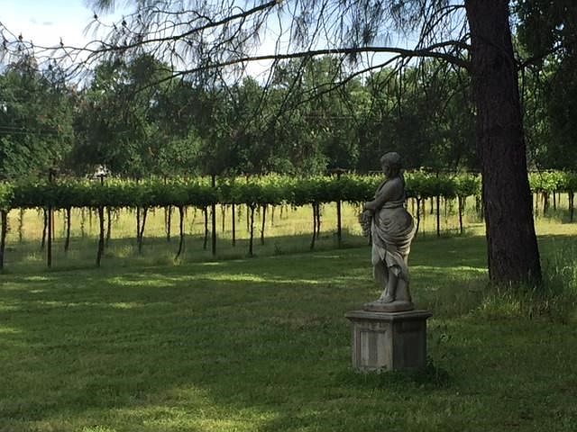 Jami's Vineyard w Statue Pic
