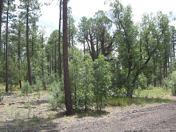 5th image of 1140 W Manzanita Trl