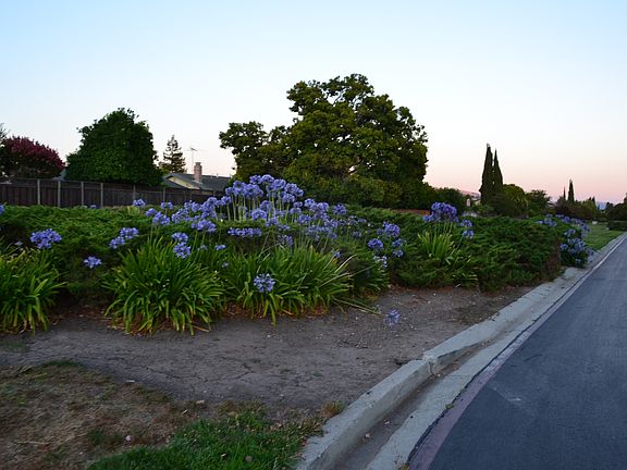 Beautiful Sandlewood Park in front of the House.