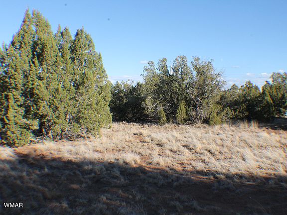 4th image of 2020 Silver Creek Dr