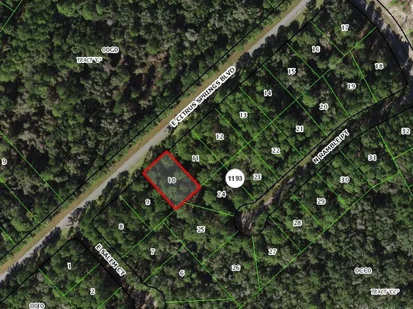 1136 E Citrus Springs Blvd, Citrus Springs, FL 34434
