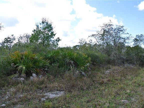 5th image of 32101 Creek Trl
