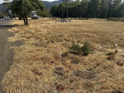 411 NE 1st St, Oakland, OR, 97462