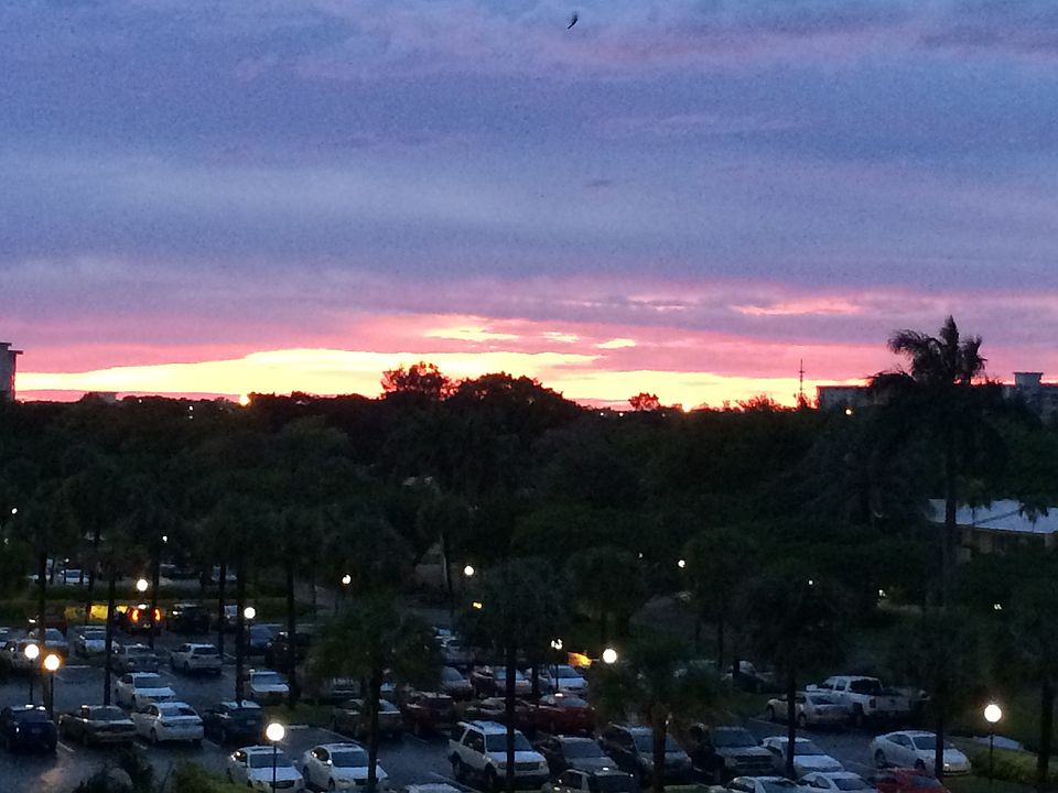1st image of 3100 N Palm Aire Dr APT 510