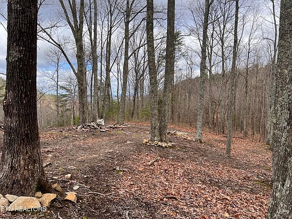 4th image of Hardwood Hollow Way