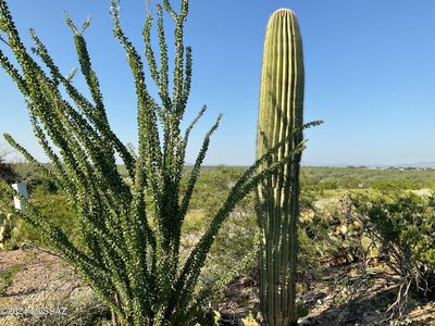 12920 N Flintlock Rd #24, Marana, AZ, 85653