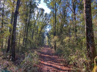 0 145th Rd, Mc Alpin, FL 32062