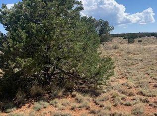 824 S Spruce Rd #373, Williams, AZ 86046