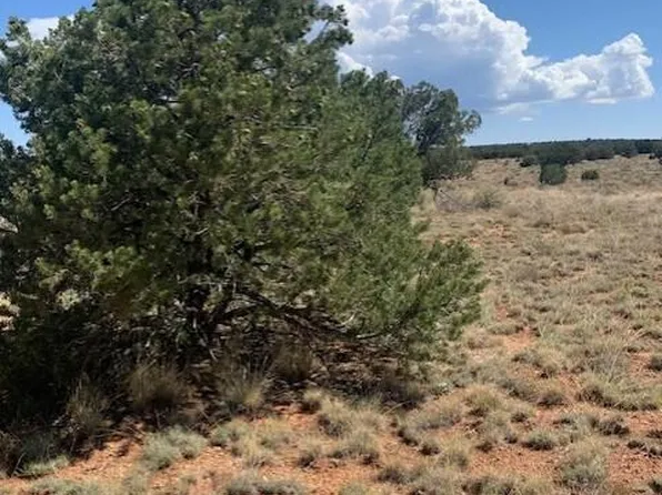 824 S Spruce Rd #373, Williams, AZ 86046