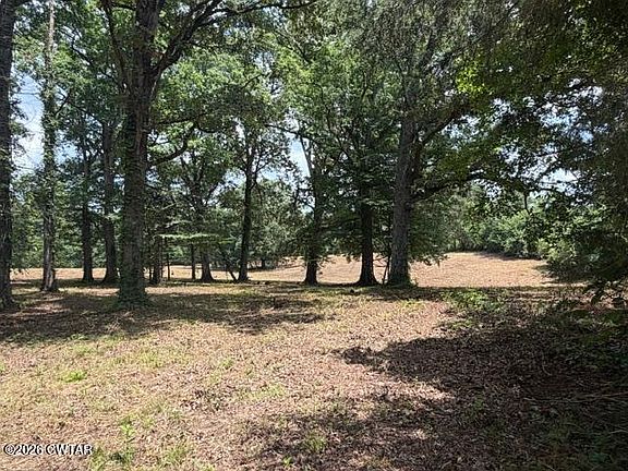 5th image of 0 McBride Cemetery Rd