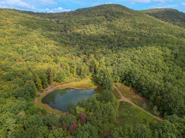 0 Warren Rd, Hancock, NY 13783