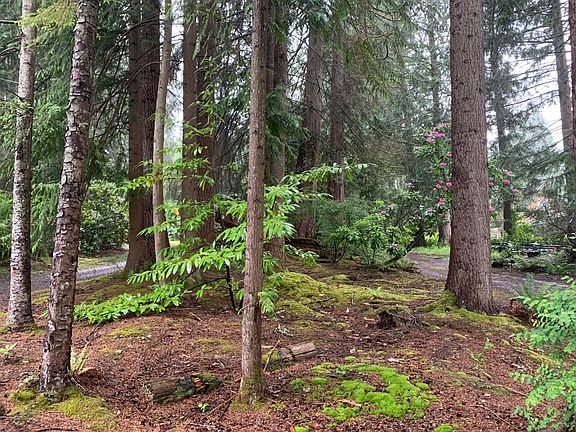 Natural landscape surrounds the property. Front of property has area for garden.