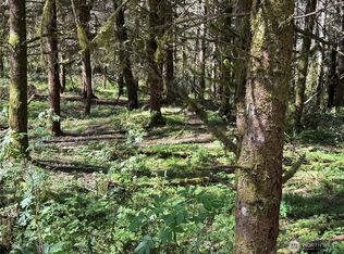 27403 114th Ave E, Graham, WA 98338