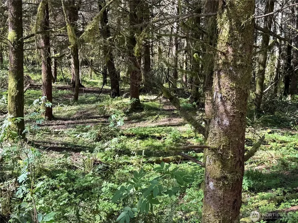 27403 114th Avenue E, Graham, WA 98338