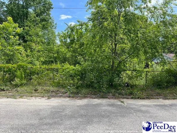 1055 Ohara Dr, Florence, SC 29505