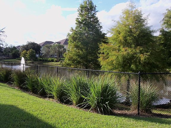 3rd image of 1931 San Jacinto Cir