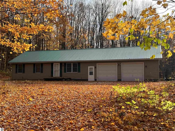 8738 County Road 571 NE, Mancelona, MI 49659