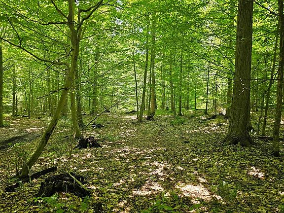 3rd image of 0 Lake Bluff Rd